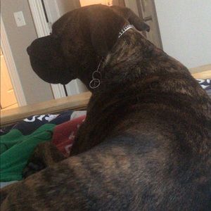 Meet your Posher, Maxwell